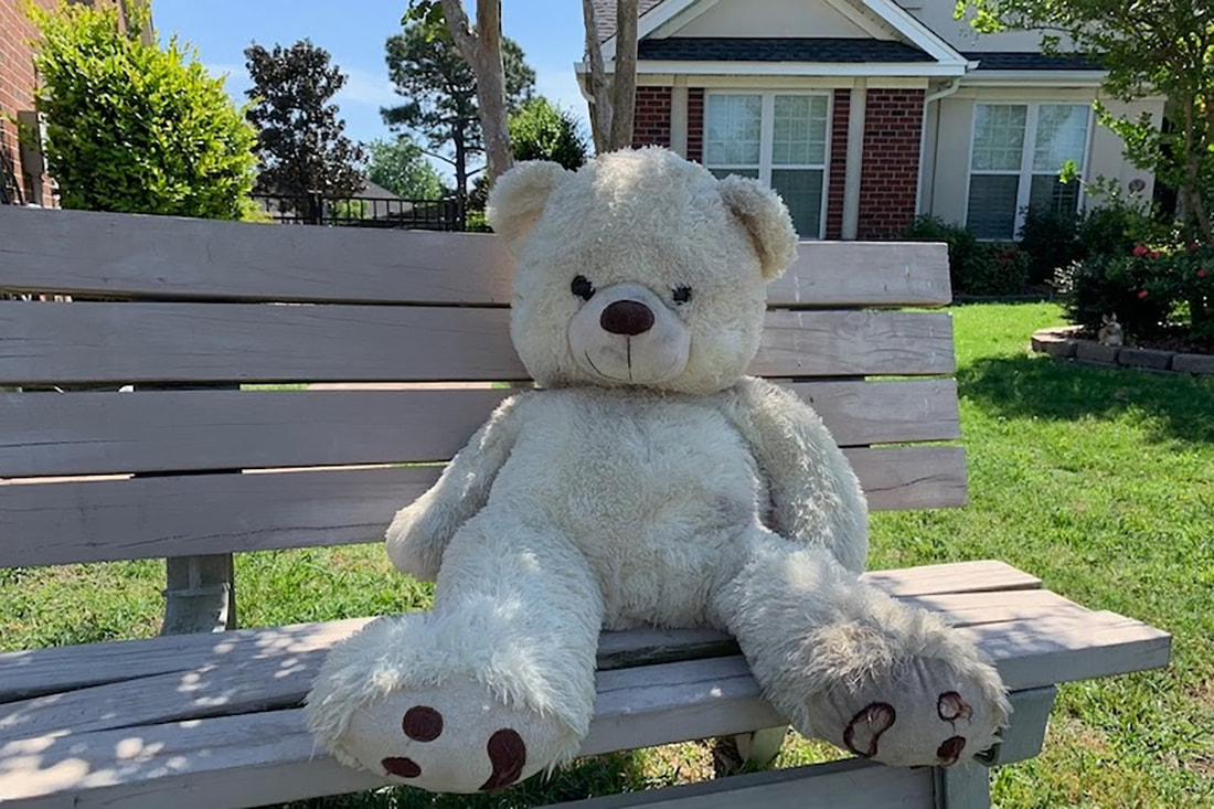 stuffed animal bear on a park in my neighborhood